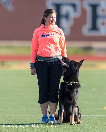 20150411_AWDF-4491_b.aghajani.jpg