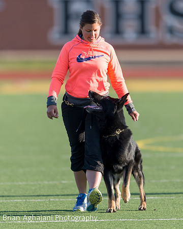 20150411_AWDF-4499_b.aghajani.jpg