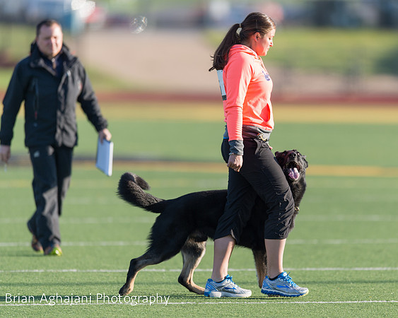 20150411_AWDF-4510_b.aghajani.jpg