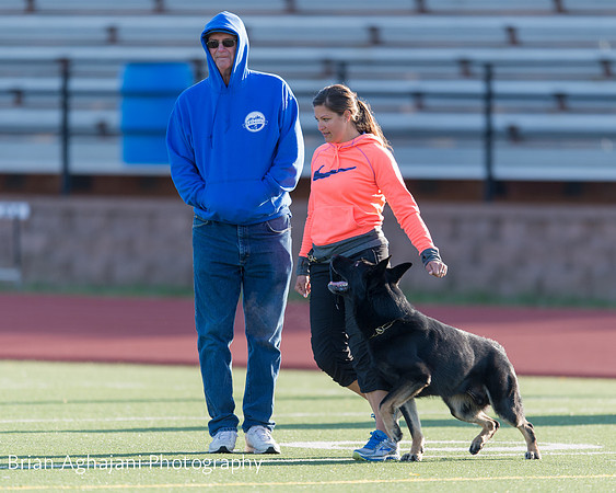 20150411_AWDF-4516_b.aghajani.jpg