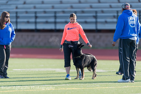 20150411_AWDF-4522_b.aghajani.jpg