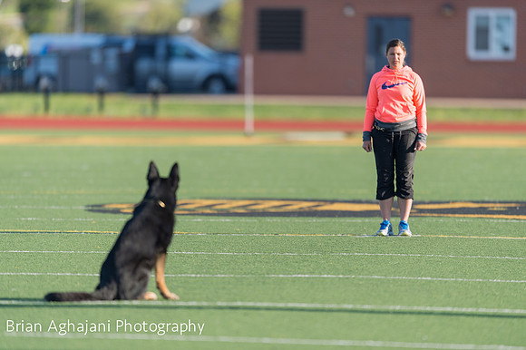 20150411_AWDF-4528_b.aghajani.jpg