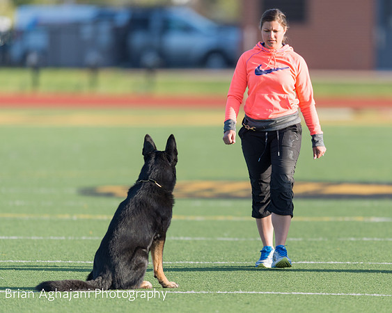 20150411_AWDF-4534_b.aghajani.jpg