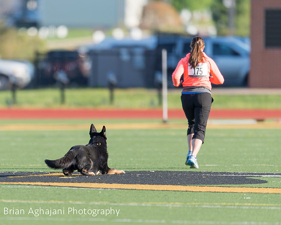 20150411_AWDF-4536_b.aghajani.jpg