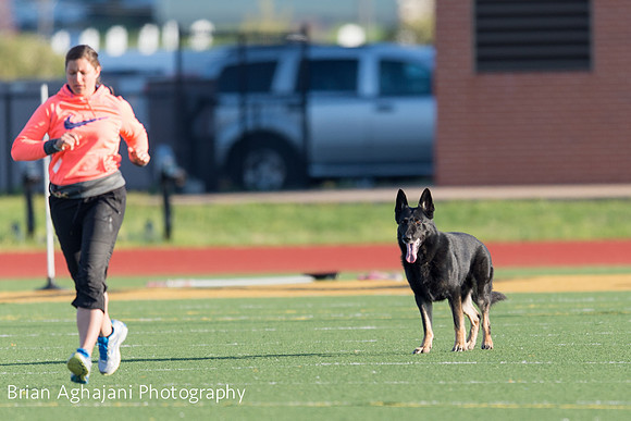 20150411_AWDF-4544_b.aghajani.jpg