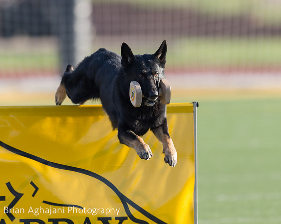 20150411_AWDF-4573_b.aghajani.jpg