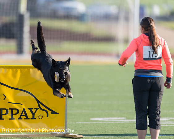 20150411_AWDF-4574_b.aghajani.jpg