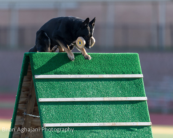 20150411_AWDF-4586_b.aghajani.jpg