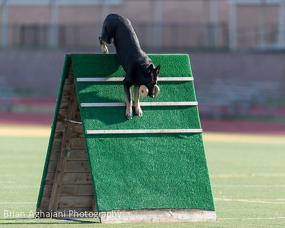 20150411_AWDF-4588_b.aghajani.jpg