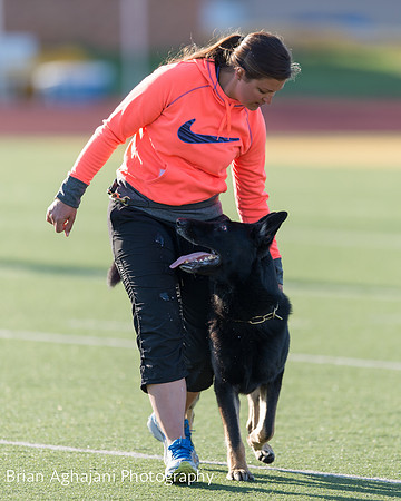 20150411_AWDF-4616_b.aghajani.jpg
