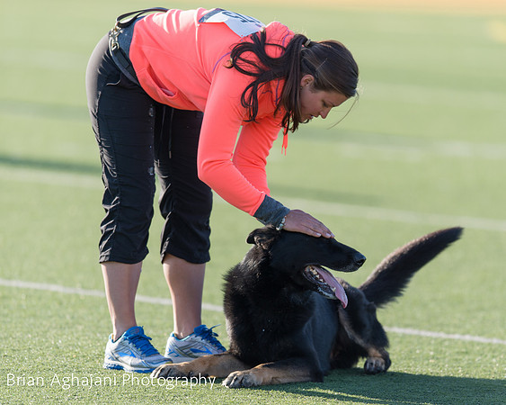 20150411_AWDF-4625_b.aghajani.jpg