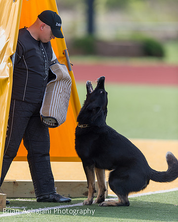 20150411_AWDF-5580_b.aghajani.jpg