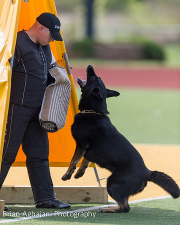 20150411_AWDF-5582_b.aghajani.jpg
