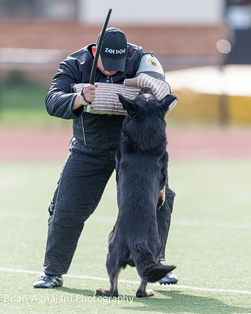20150411_AWDF-5601_b.aghajani.jpg