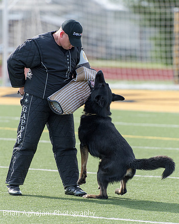 20150411_AWDF-5616_b.aghajani.jpg