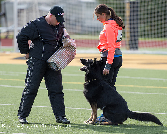 20150411_AWDF-5622_b.aghajani.jpg