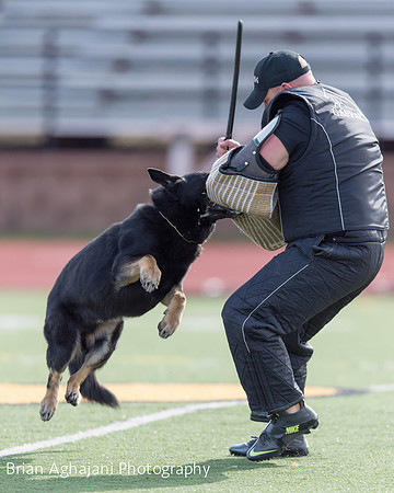 20150411_AWDF-5633_b.aghajani.jpg