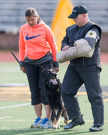 20150411_AWDF-5642_b.aghajani.jpg