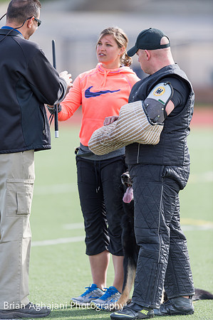 20150411_AWDF-5652_b.aghajani.jpg