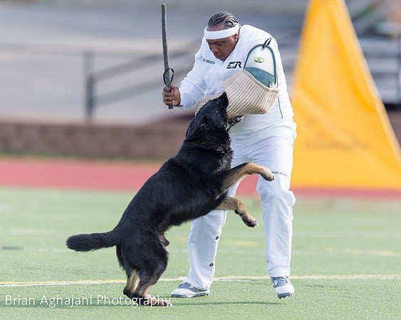 20150411_AWDF-5671_b.aghajani.jpg
