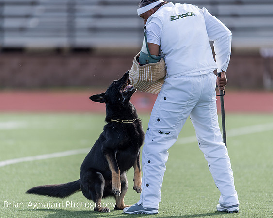 20150411_AWDF-5681_b.aghajani.jpg