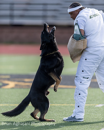 20150411_AWDF-5713_b.aghajani.jpg