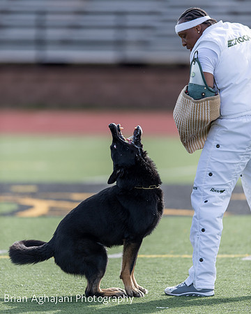 20150411_AWDF-5723_b.aghajani.jpg
