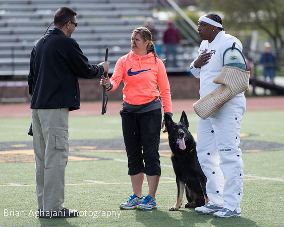 20150411_AWDF-5740_b.aghajani.jpg