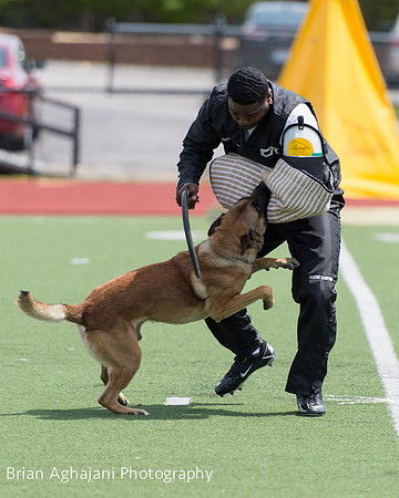 20150411_AWDF-7362_b.aghajani.jpg