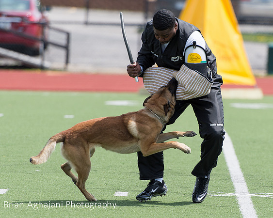 20150411_AWDF-7363_b.aghajani.jpg