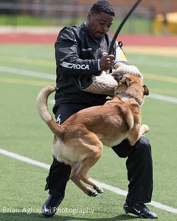 20150411_AWDF-7373_b.aghajani.jpg