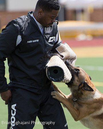 20150411_AWDF-7376_b.aghajani.jpg