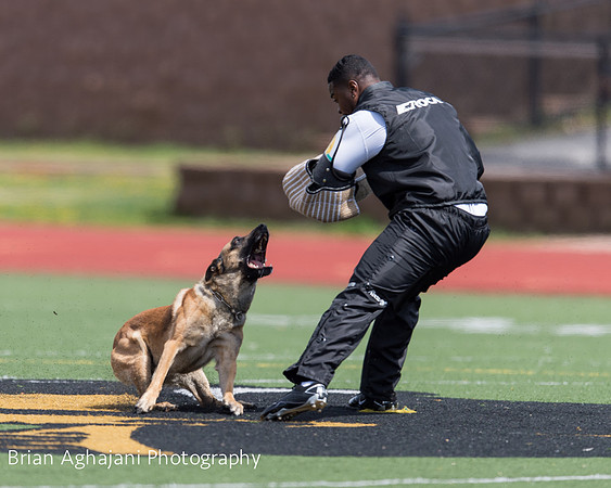 20150411_AWDF-7390_b.aghajani.jpg
