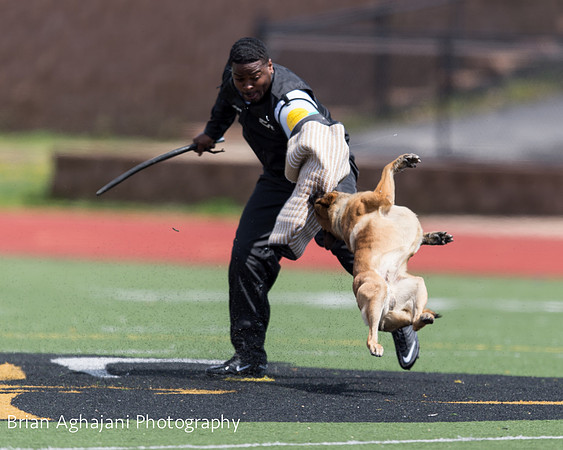 20150411_AWDF-7393_b.aghajani.jpg