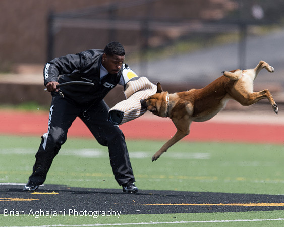 20150411_AWDF-7396_b.aghajani.jpg