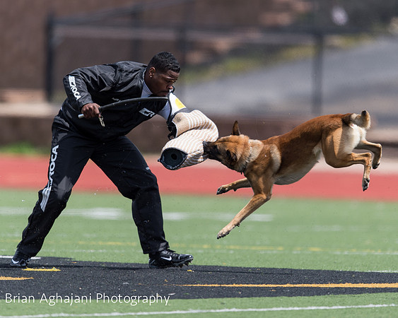 20150411_AWDF-7397_b.aghajani.jpg