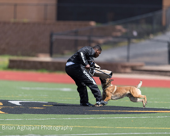 20150411_AWDF-7400_b.aghajani.jpg