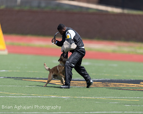20150411_AWDF-7406_b.aghajani.jpg