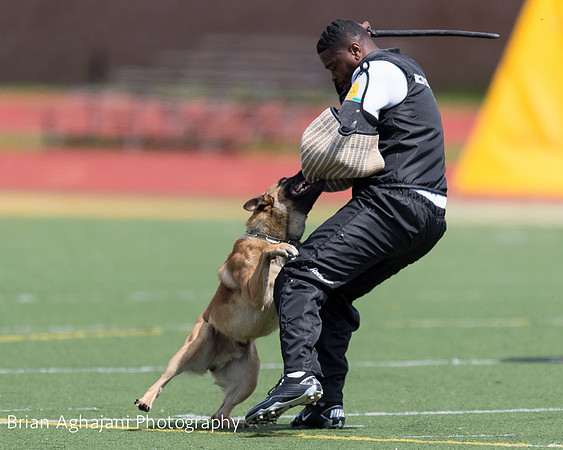 20150411_AWDF-7410_b.aghajani.jpg