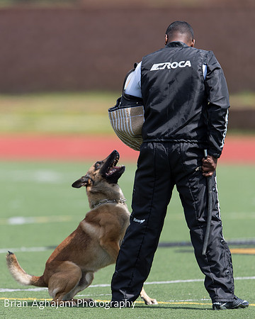 20150411_AWDF-7412_b.aghajani.jpg