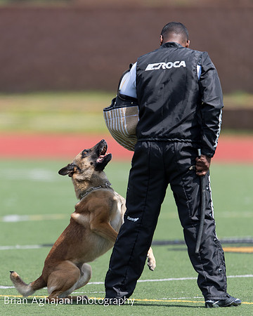 20150411_AWDF-7413_b.aghajani.jpg
