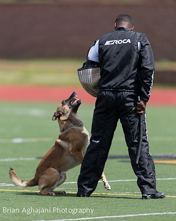 20150411_AWDF-7414_b.aghajani.jpg
