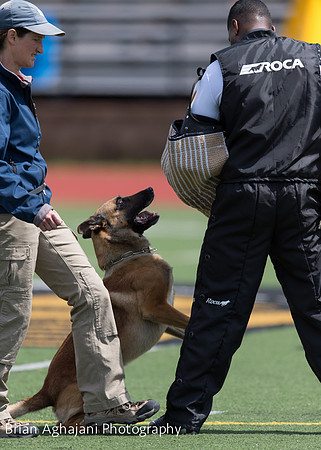 20150411_AWDF-7439_b.aghajani.jpg
