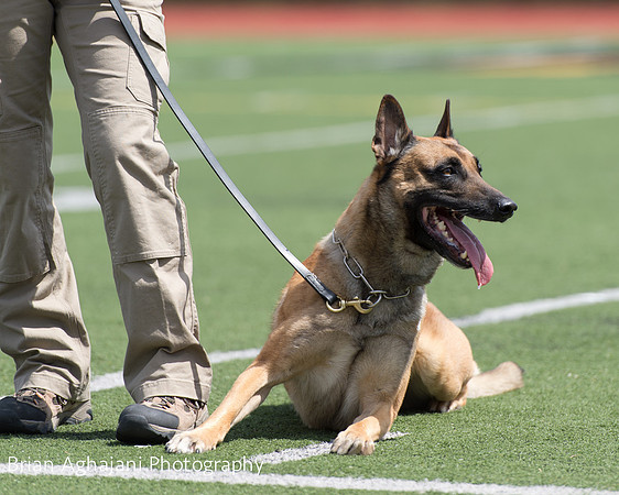 20150411_AWDF-7451_b.aghajani.jpg