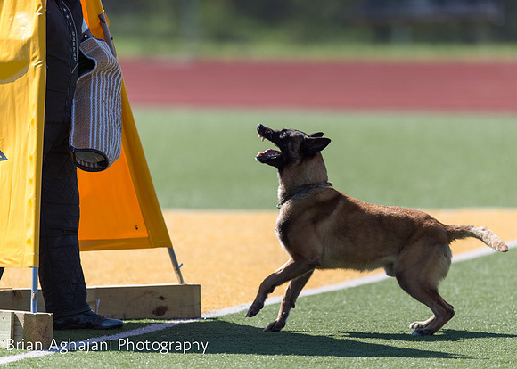 20150410_AWDF__seq1717_BrianAghajani.jpg