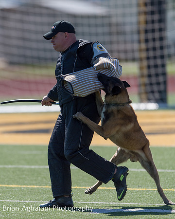 20150410_AWDF__seq1737_BrianAghajani.jpg