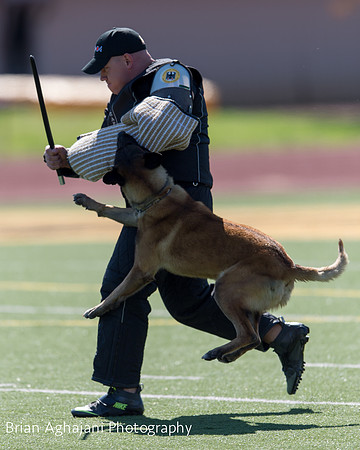 20150410_AWDF__seq1744_BrianAghajani.jpg