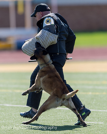 20150410_AWDF__seq1748_BrianAghajani.jpg