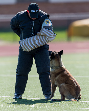20150410_AWDF__seq1751_BrianAghajani.jpg