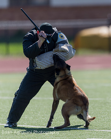 20150410_AWDF__seq1754_BrianAghajani.jpg